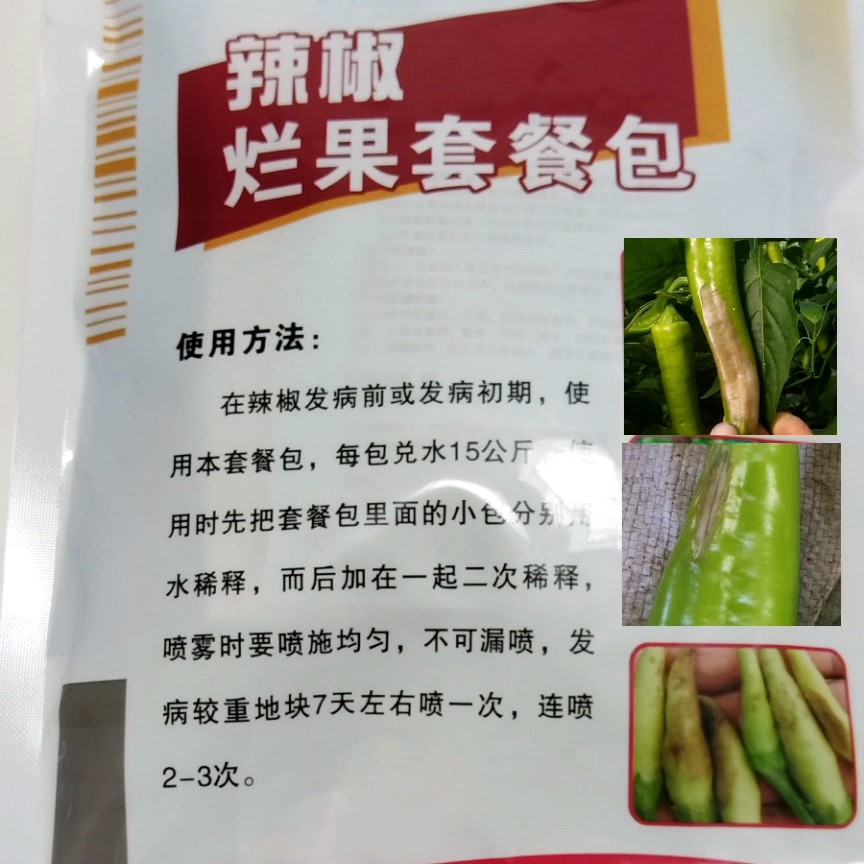 高温高湿缺钙引起的辣椒烂果。