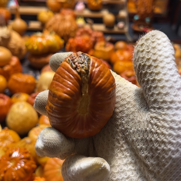 S*N异性聚宝盆墨西哥葫芦