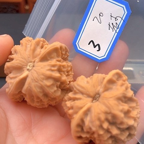 文玩核桃吊坠老*哥龙纹