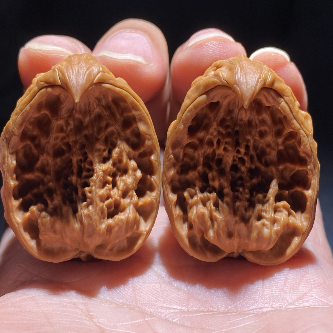 文玩核桃：瓷瓶蛇王