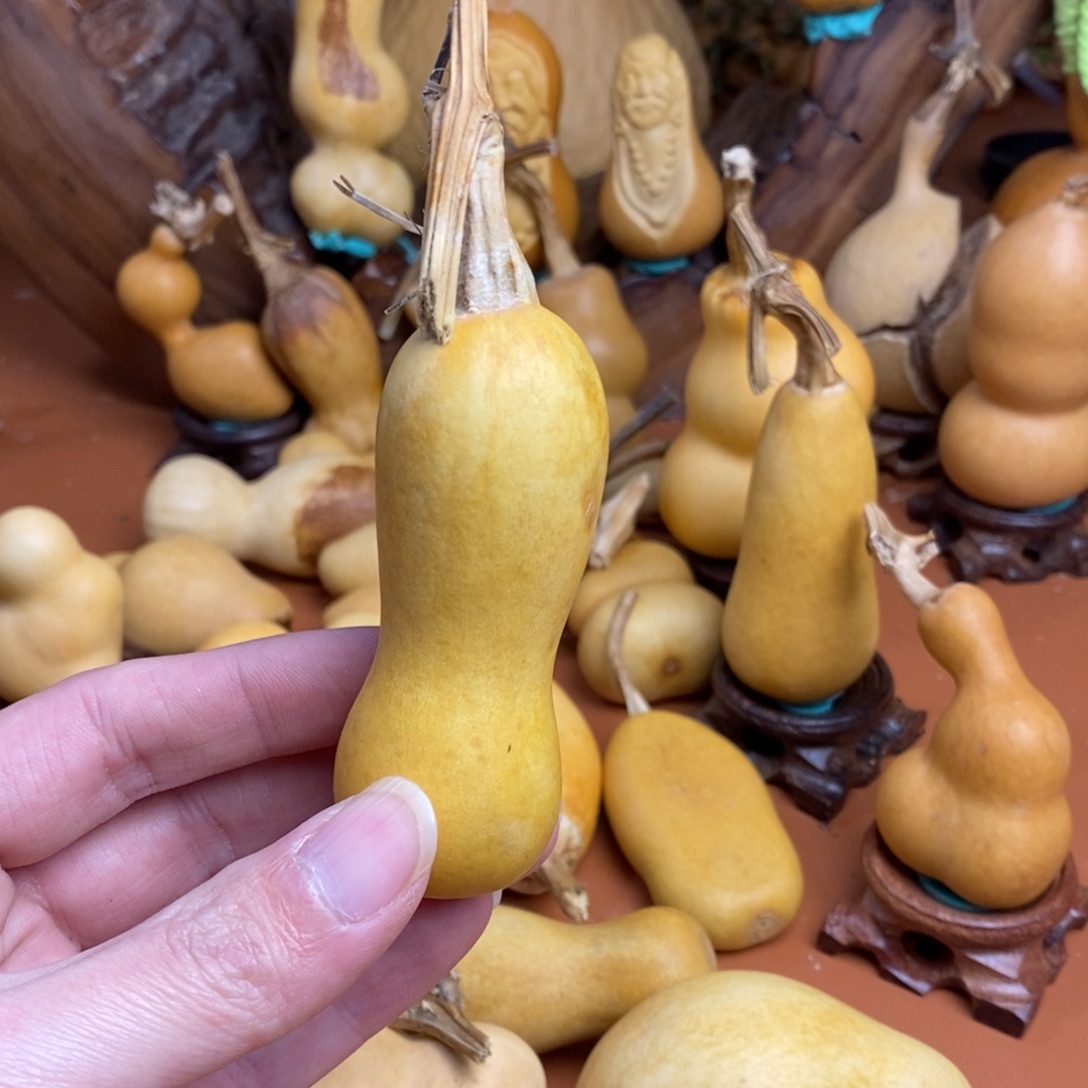 璞***緣教练咯路途考虑教练咯