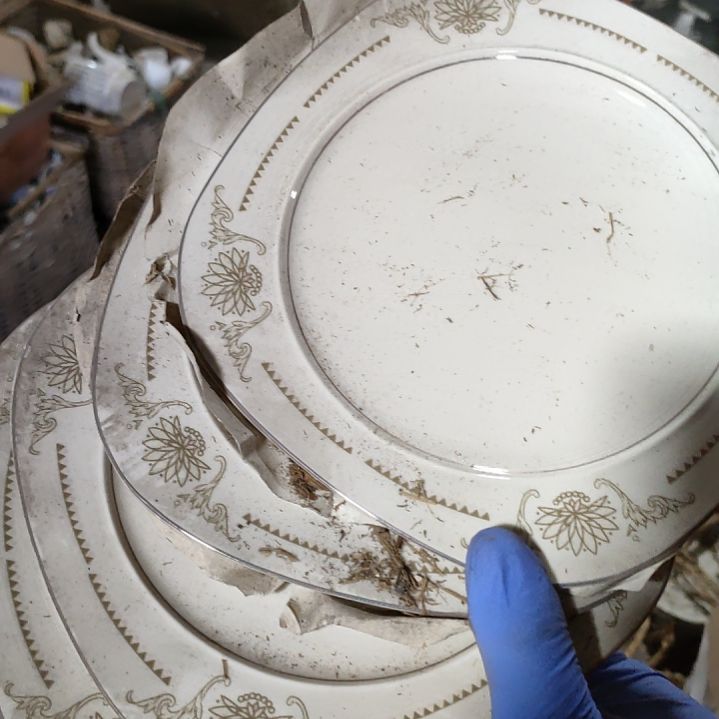 摆件陶瓷盘子碗啥都有