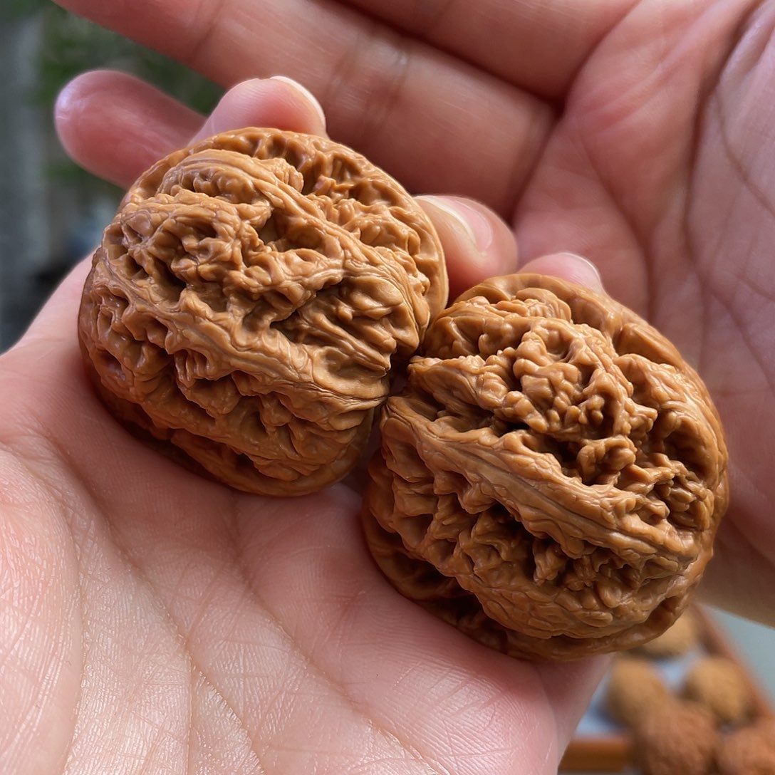 桃核把件42×41尺平谷大粗筋（微蹭尖）CN01452已打底