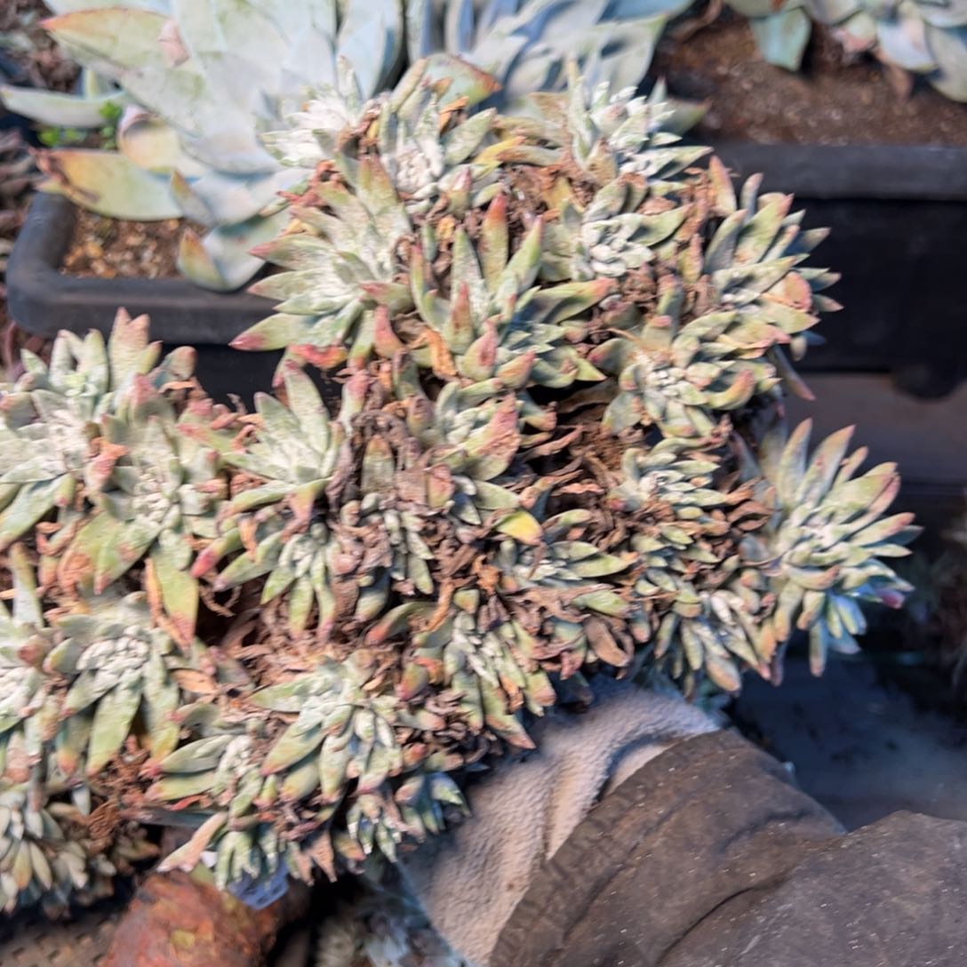 8517哈哈哈哈哈哈哈