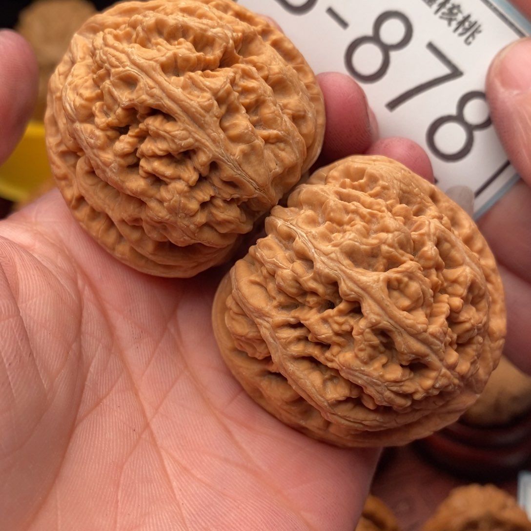 文玩核桃把件粗筋42