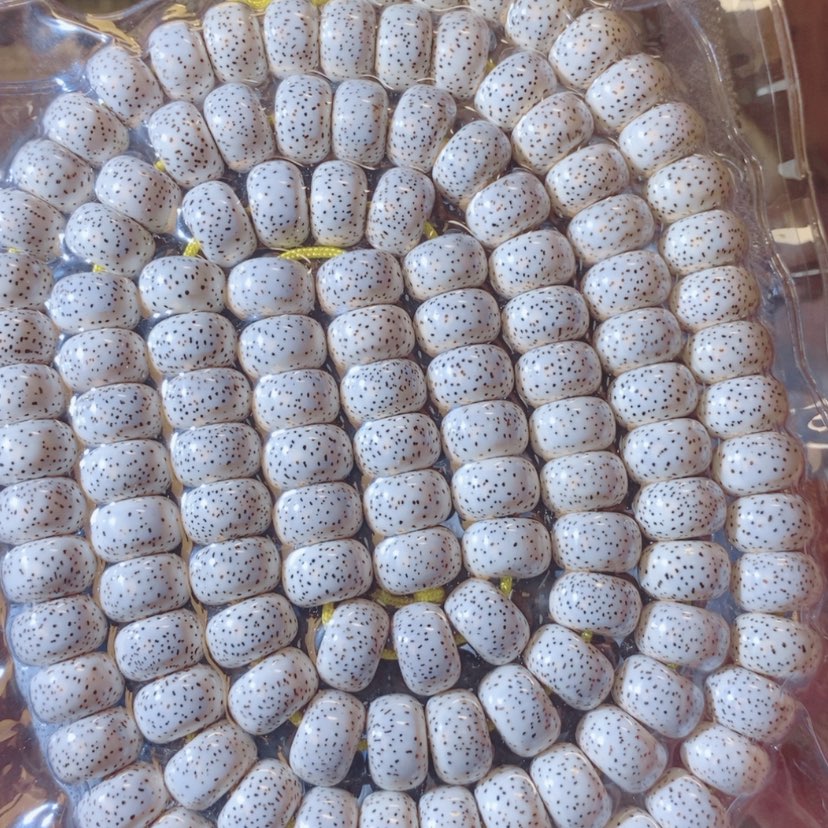 【闪购商品】星月菩提吊坠A****oTffgghhhhhhhhhh