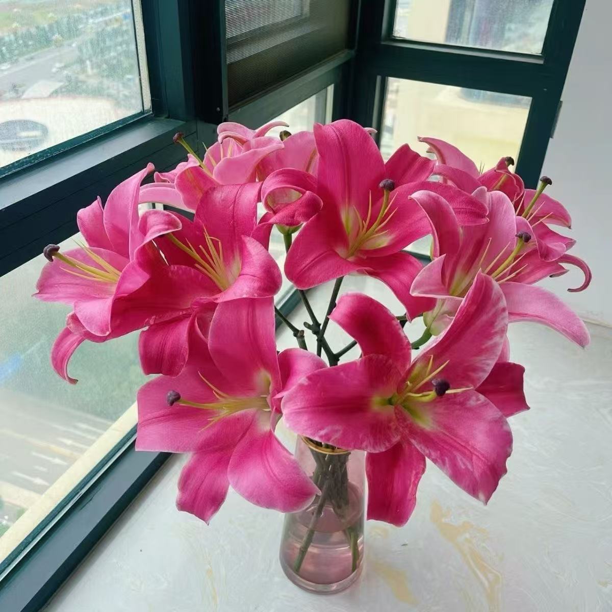 云南基地直发普拉芬多单头香水百合水养鲜花家用插花