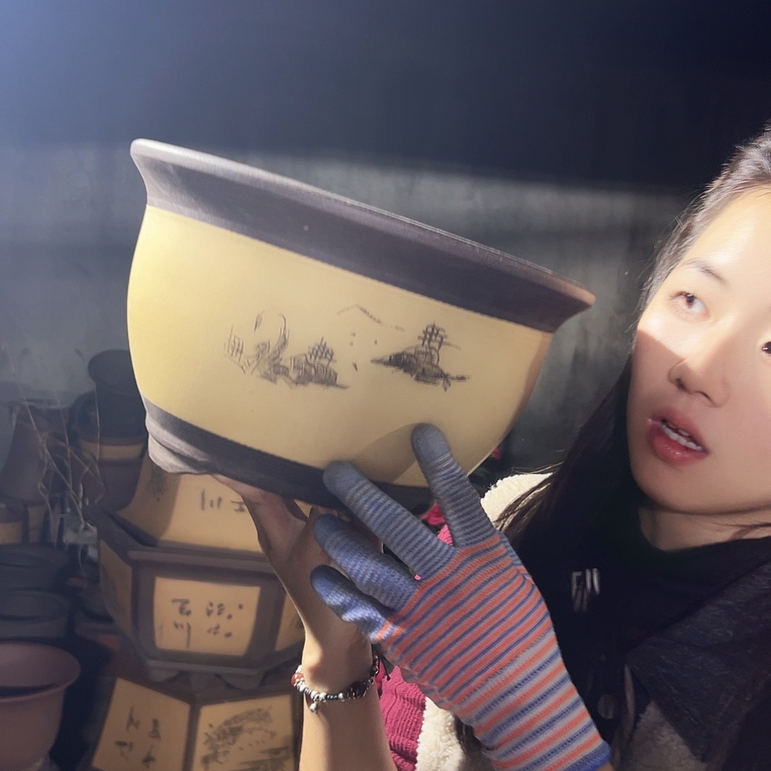 003花盆花盆花盆花盆花盆