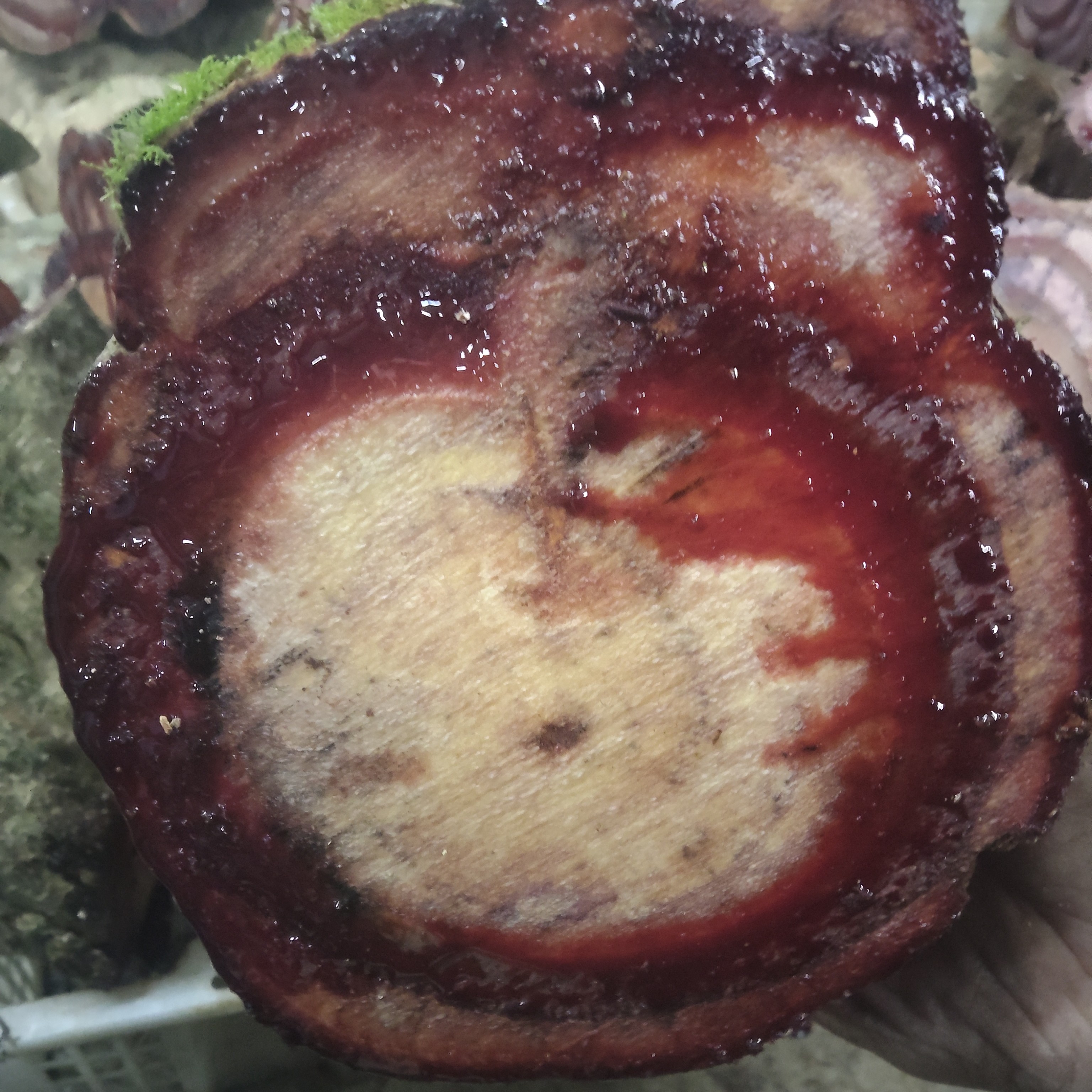 铁血藤鲜货一手货源