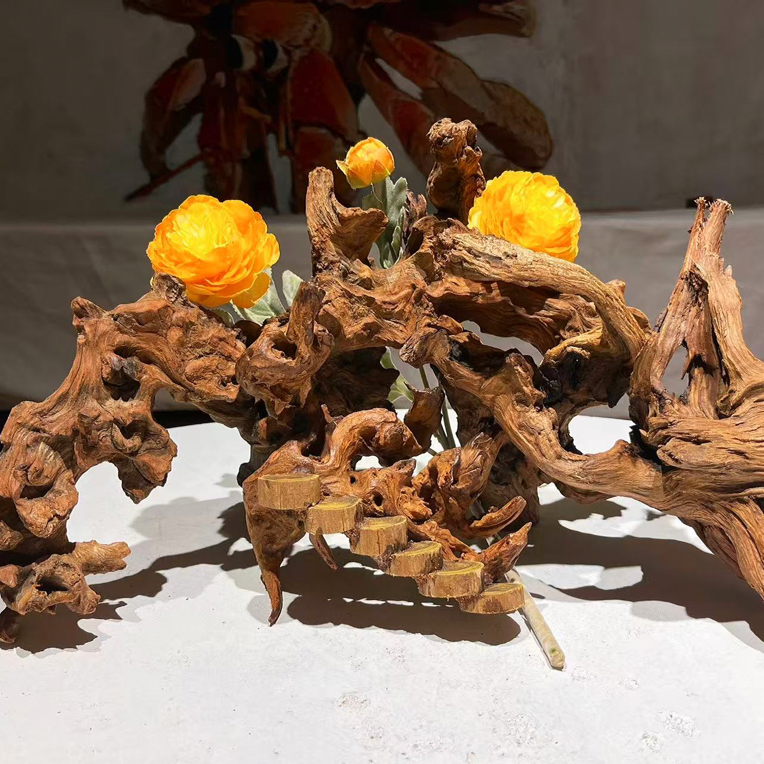 寄居蟹造景沉木尺寸：45-50.20.30（不粘接，送原片花花，不装饰）