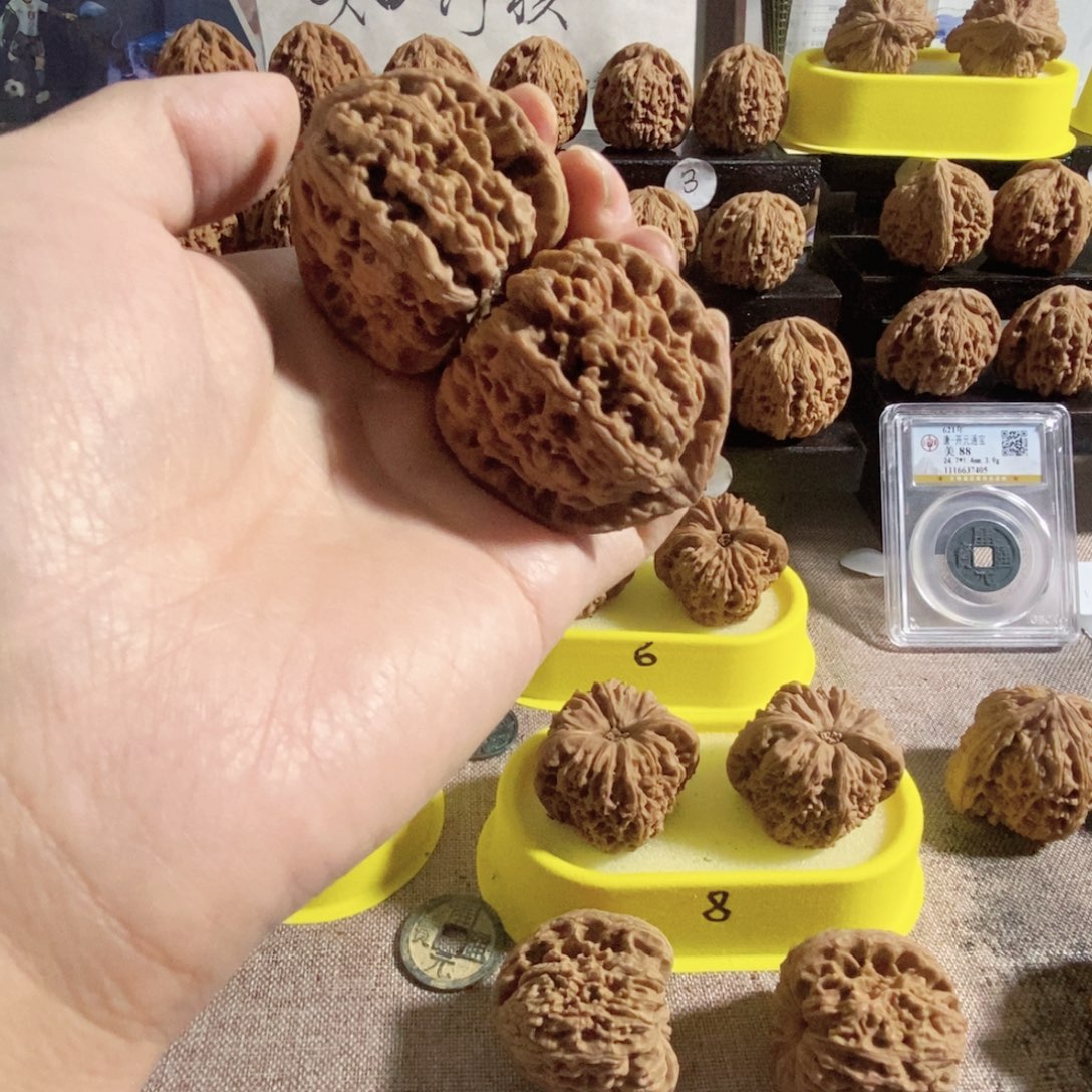 焦***纯木质类三角开背南疆