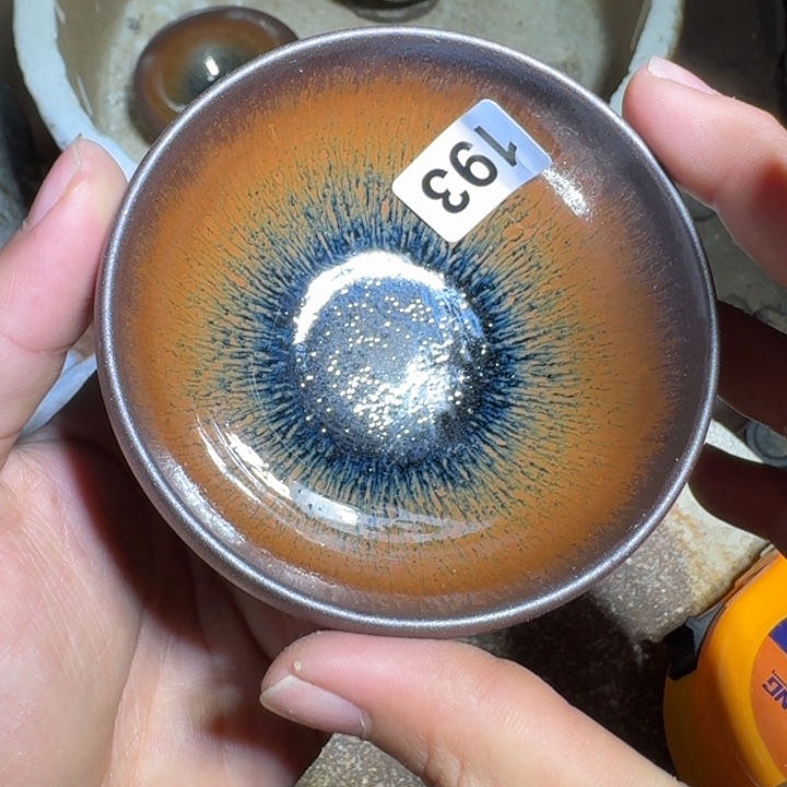 茶盏提出解决农村留守学生入学面临