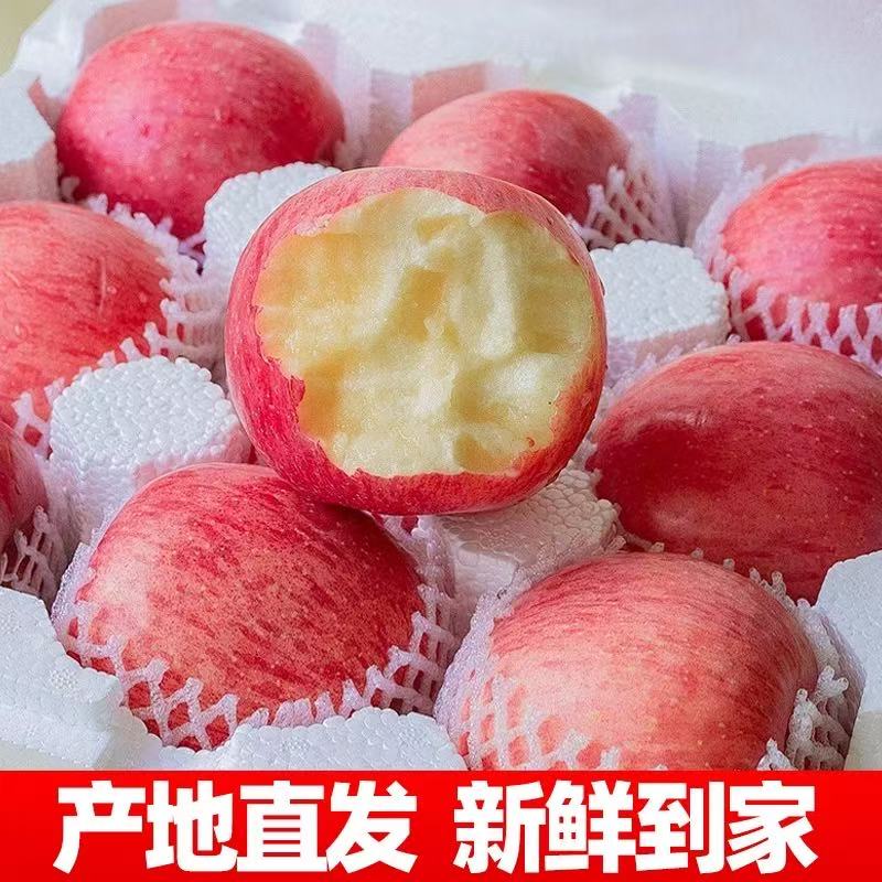 山东正宗烟台红富士苹果水果新鲜当季整箱脆甜时令