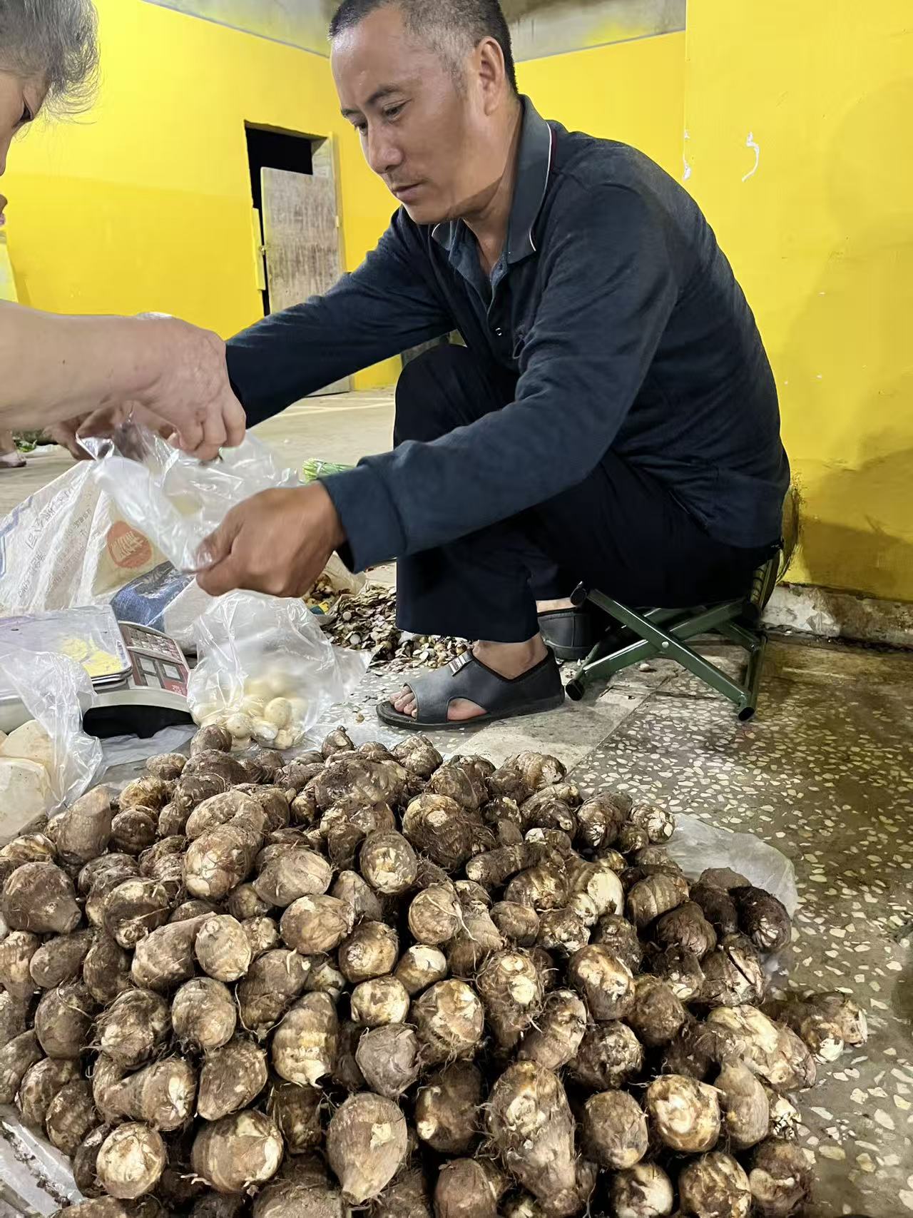 涪陵新鲜现挖小芋头硬币大小人工挑选软糯香甜应季蔬菜