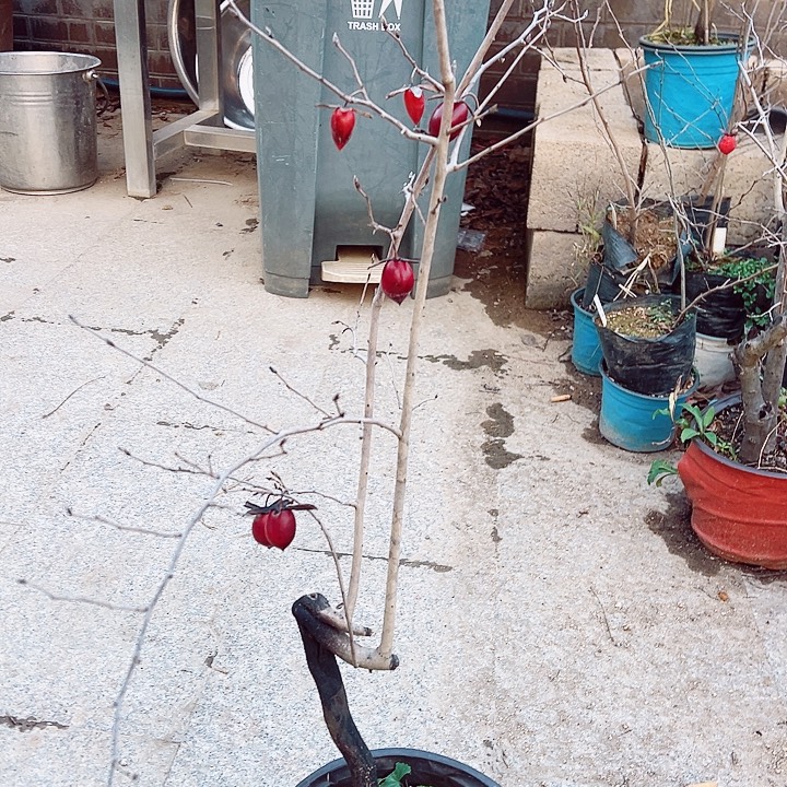 用***8无花朵哈哈哈哈哈