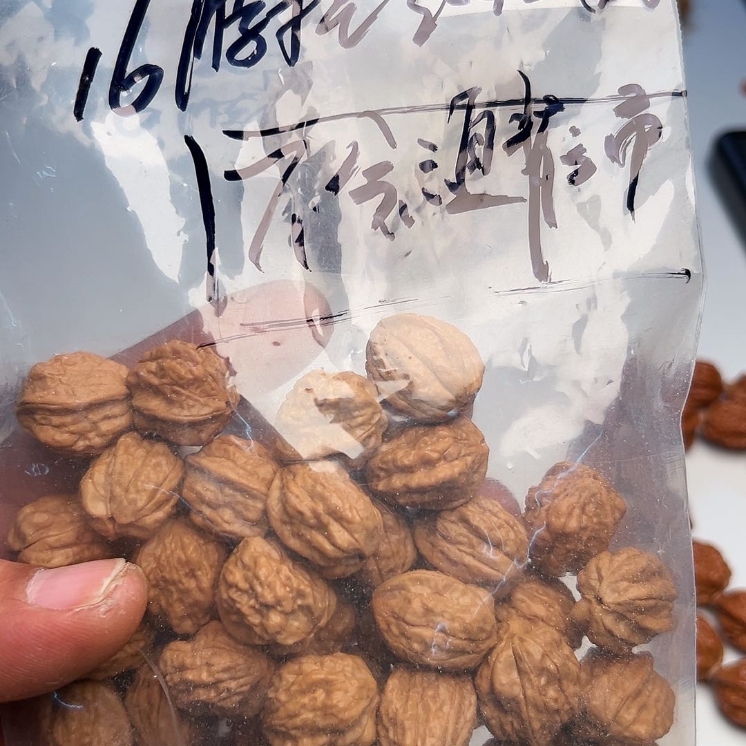 猴头核桃吊坠金蟾16脖挂