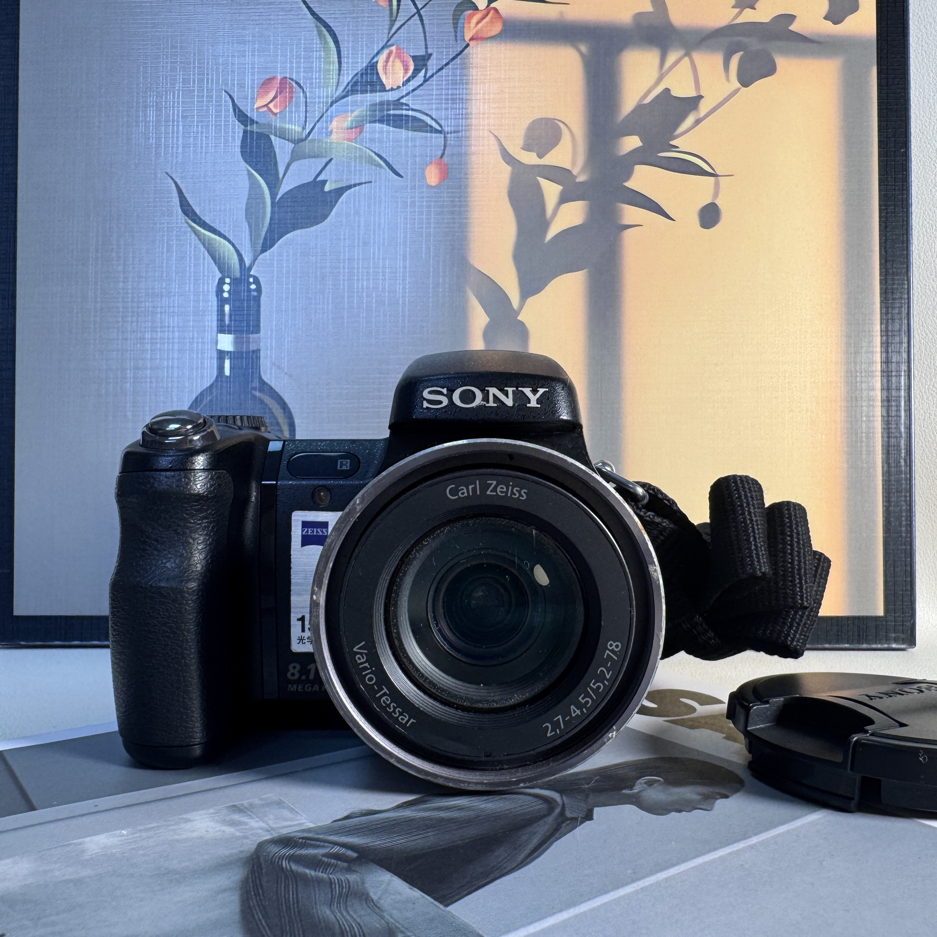 9新 Sony/索尼 H9 810万像素15号变焦 no退no换