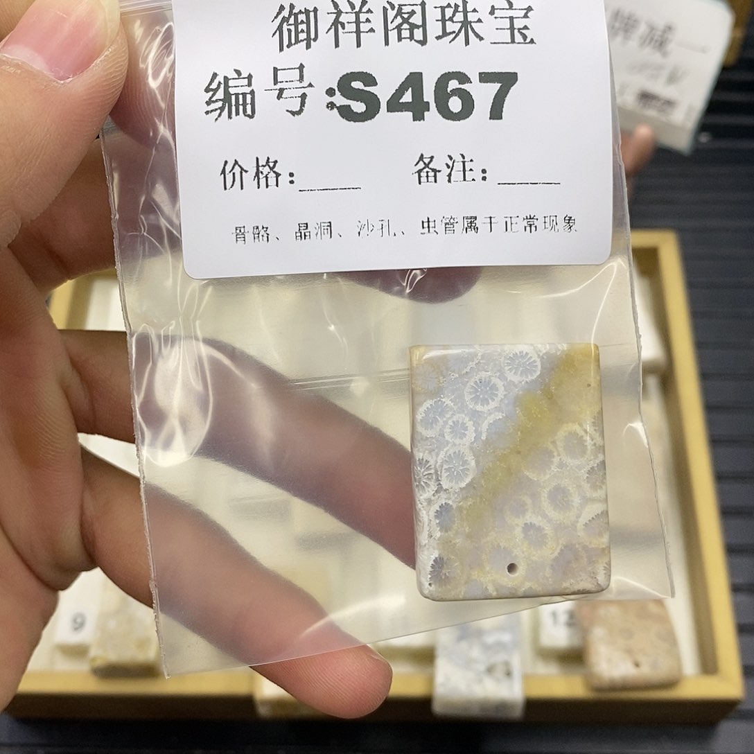 硅化珊瑚（珊瑚玉）未镶嵌颈饰芝****?
