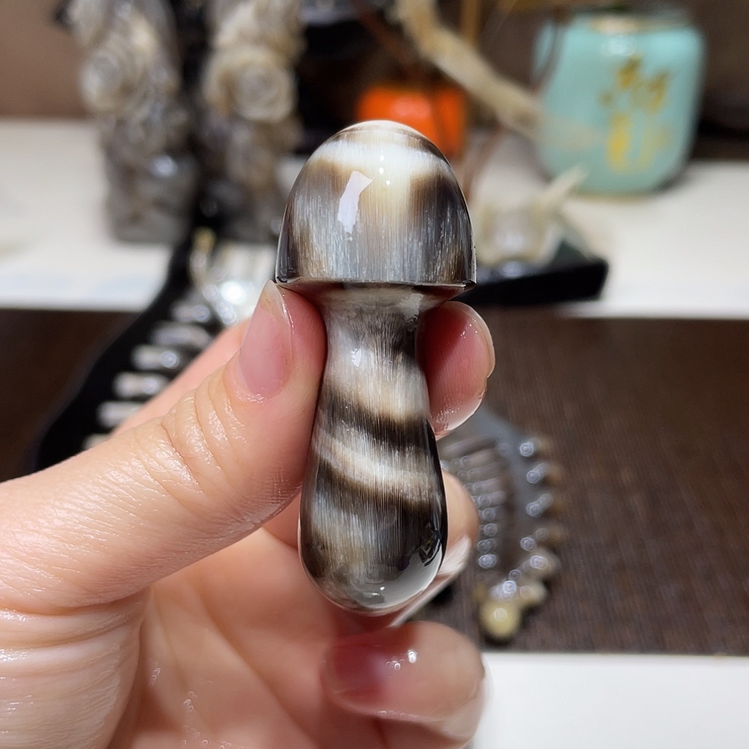 黑金刚虎纹爆丝小蘑菇