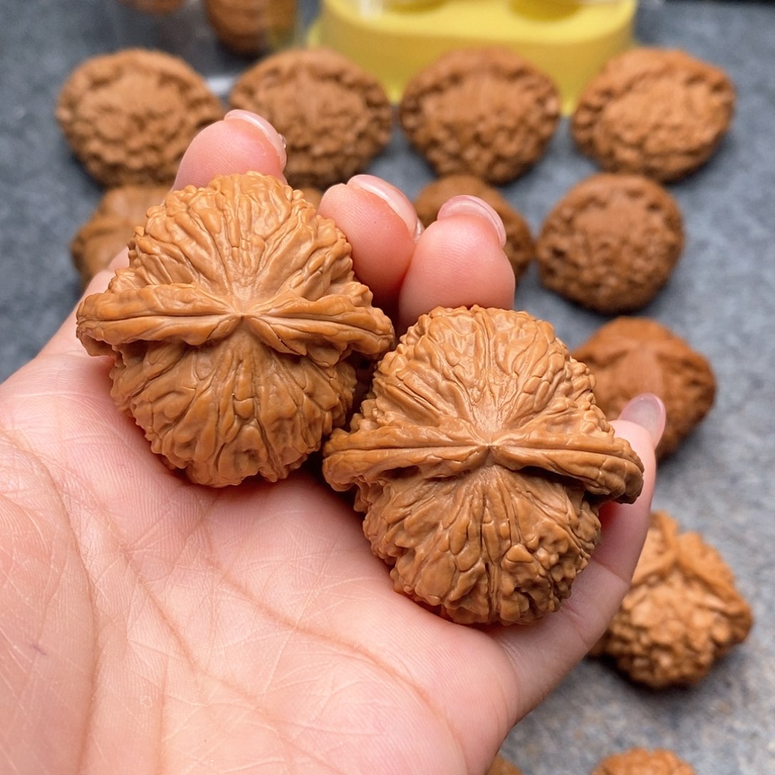 文玩核桃把件精品白狮子41.5全品