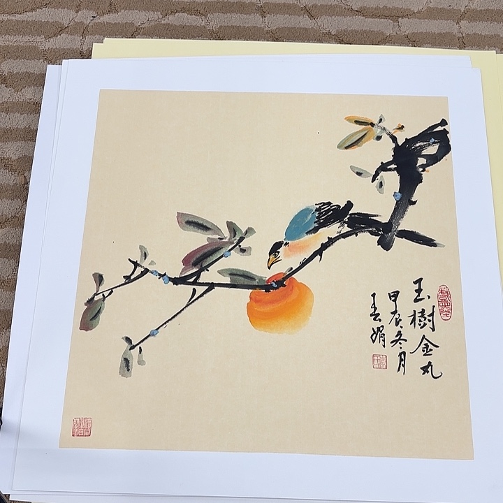 国画花鸟等多种鸟类的栖息50.50