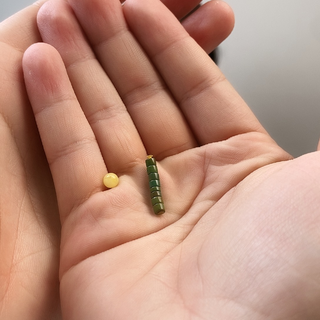 未镶嵌蜜蜡珠宝奇石