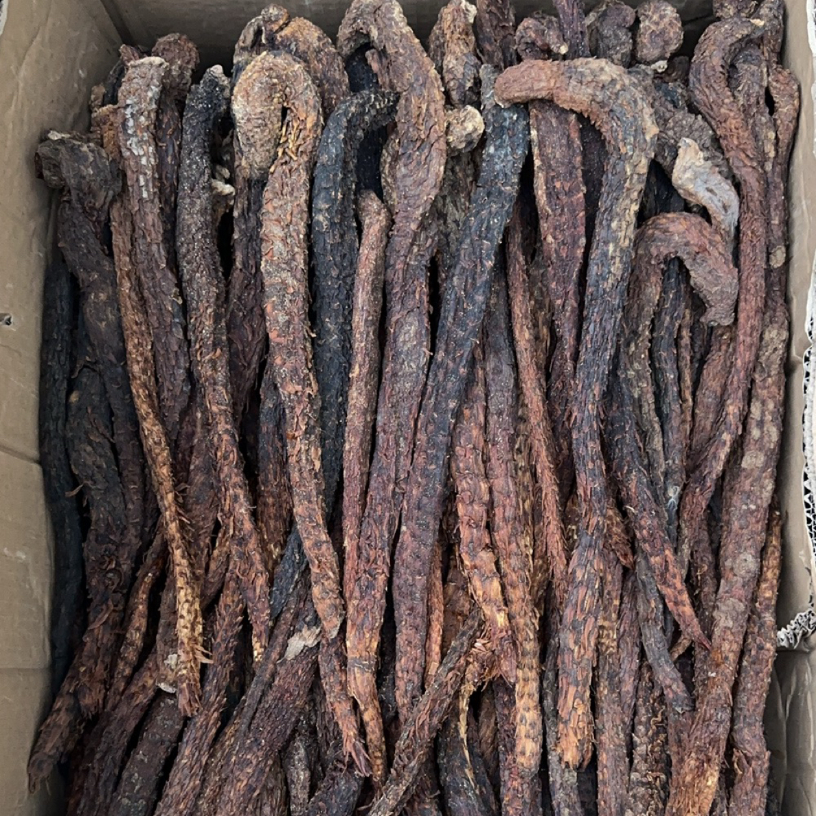 内蒙古原产地发货道地特产初级农产品正品荒漠肉苁蓉