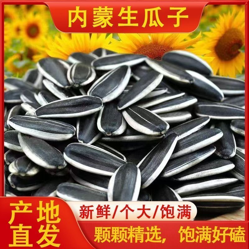 【买一斤送一斤】生瓜子内蒙古原味生瓜子葵花籽新货花皮瓜子