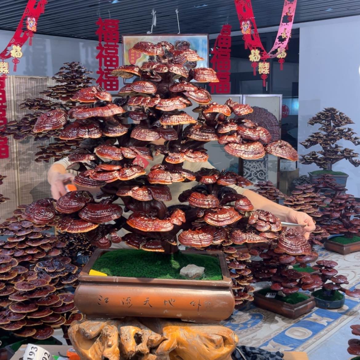 【闪购商品】888888