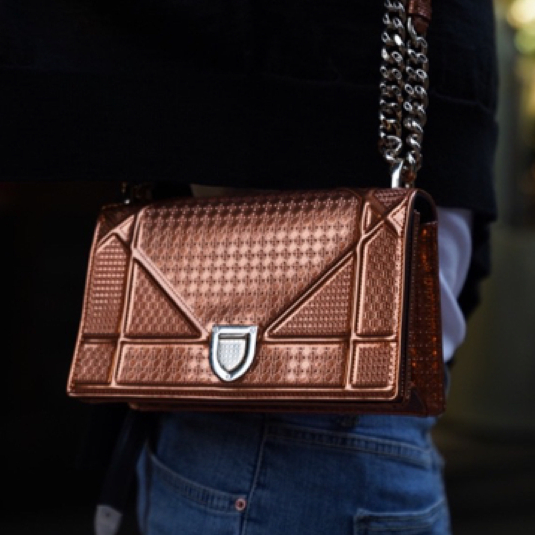 95新 DIOR/迪奥 迪奥rama woc金色盾牌斜挎包