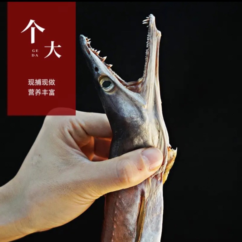 捕鱼人新品舟山野生风鳗 收到湿的冷冻保存江浙沪顺丰包邮