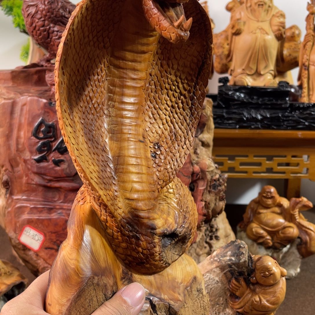 柏木（崖柏）太行88888888