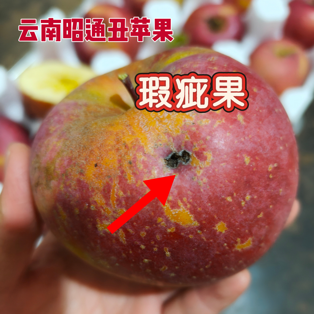 云南昭通冰糖心丑苹果（瑕疵果介意勿拍）