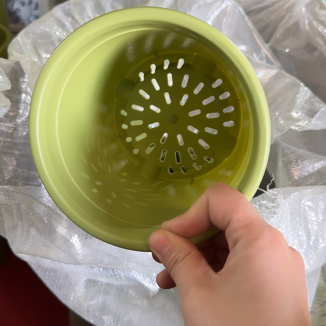 树脂1号盆带托10个果绿