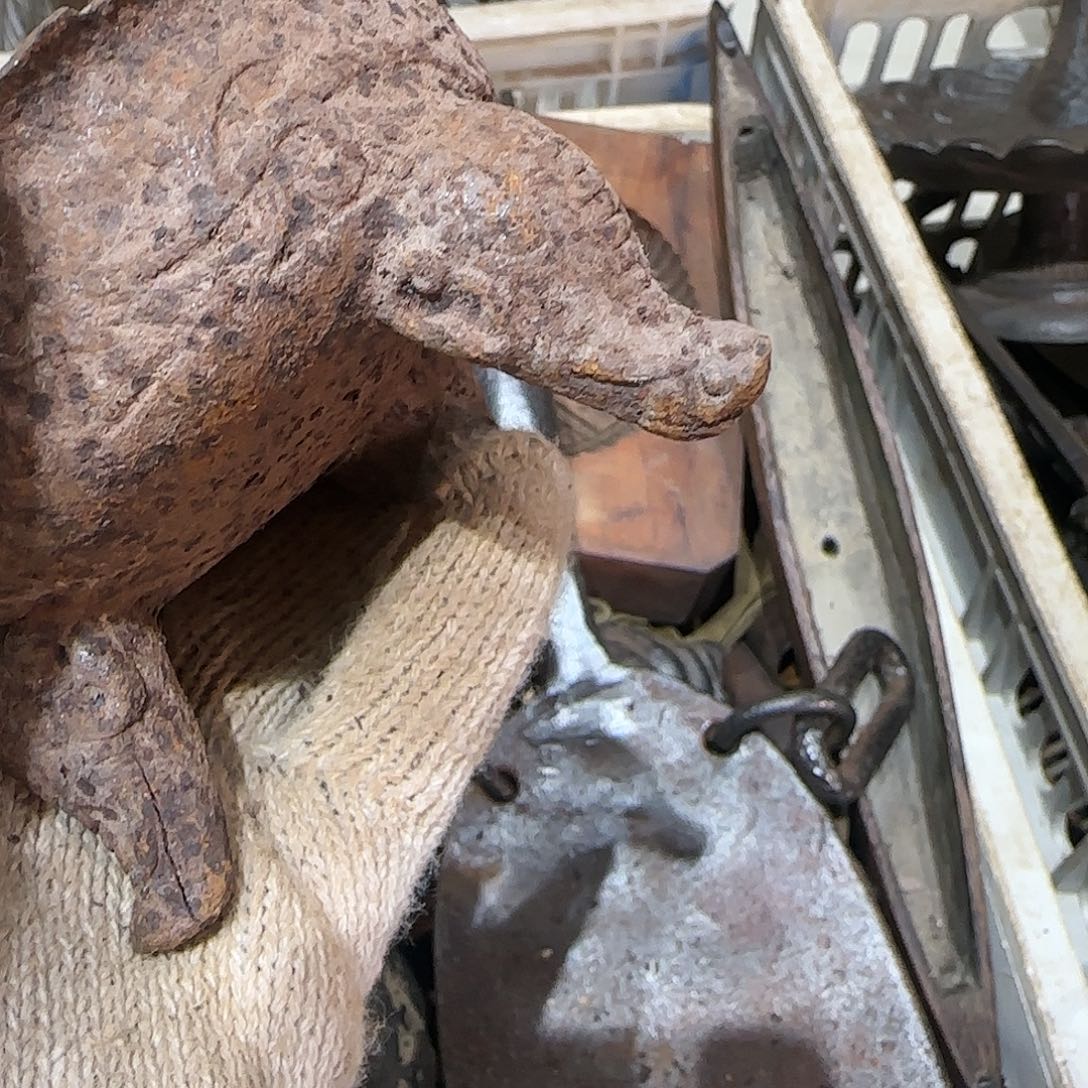 ****、一物一图看好在拍