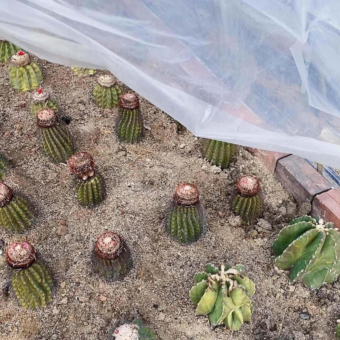 y**i云一颗1111111