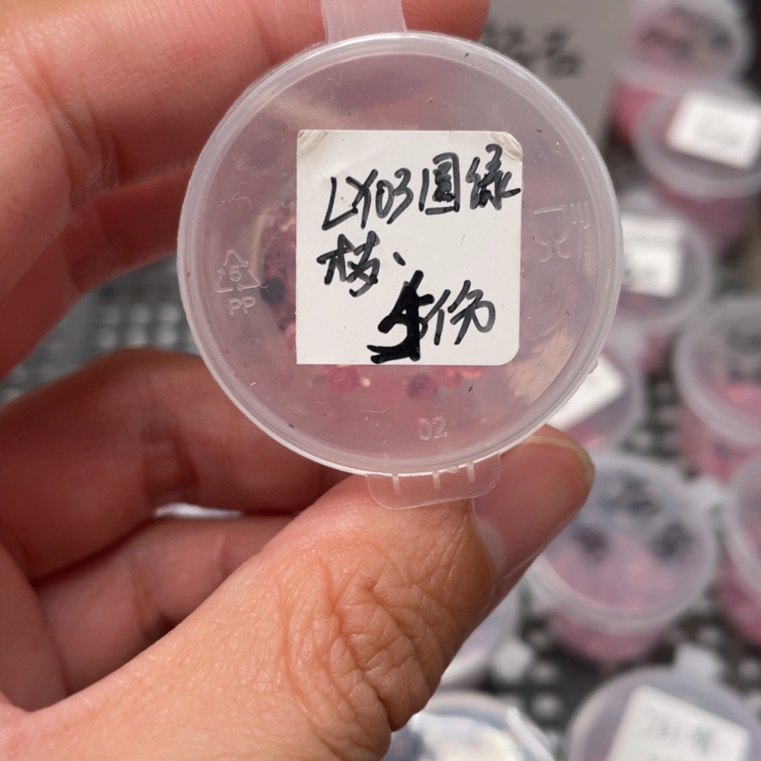 圆叶绿体Ly03珍妮✖️梦露20粒