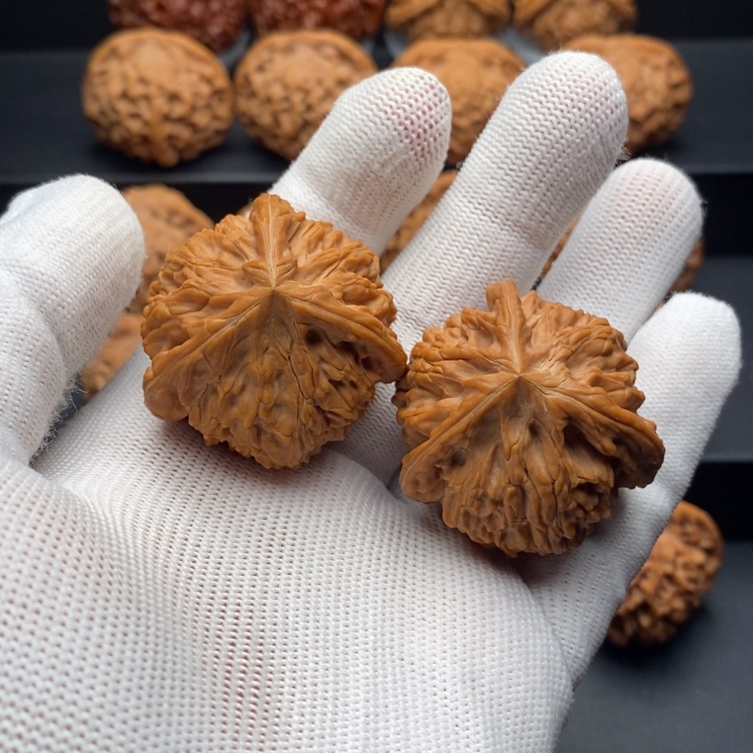 文玩核桃把件李**书御龙粗筋三棱