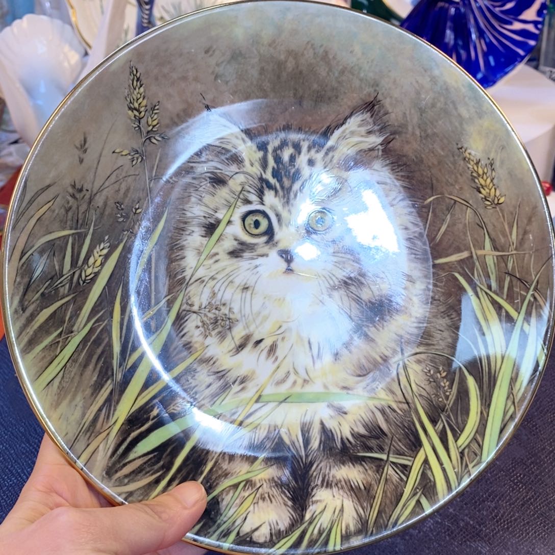 瓷器咖啡杯水晶杯