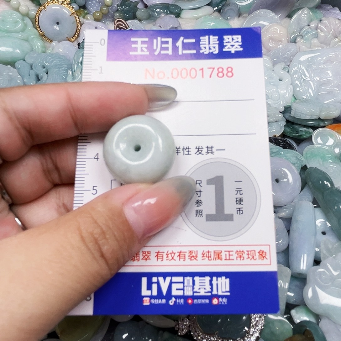 翡翠未镶嵌吊坠(不含链)1111