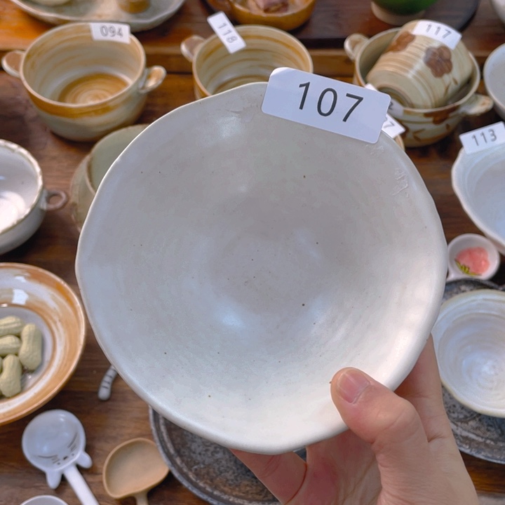 景德镇陶瓷学院等单位