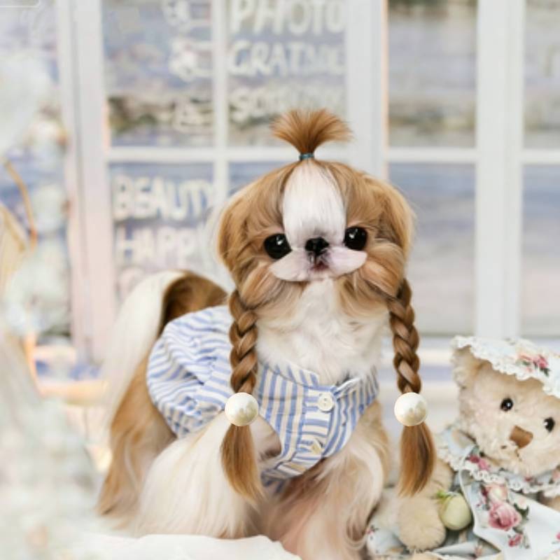 宠物皮筋法式气质珠珠发绳马尔济斯狗狗发绳D1190