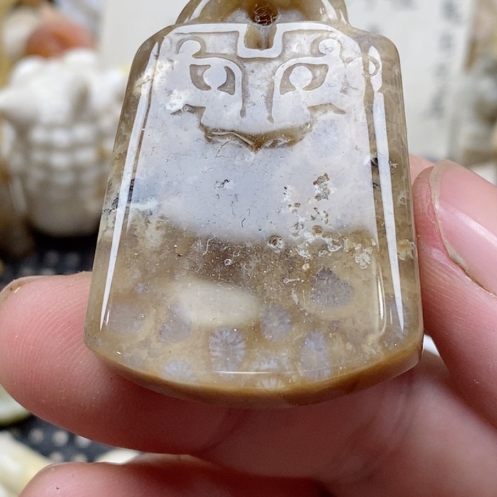 颈饰未镶嵌硅化珊瑚（珊瑚玉）有瑕