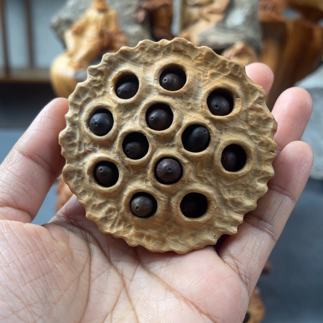 柏木（崖柏）崖柏太行山脉