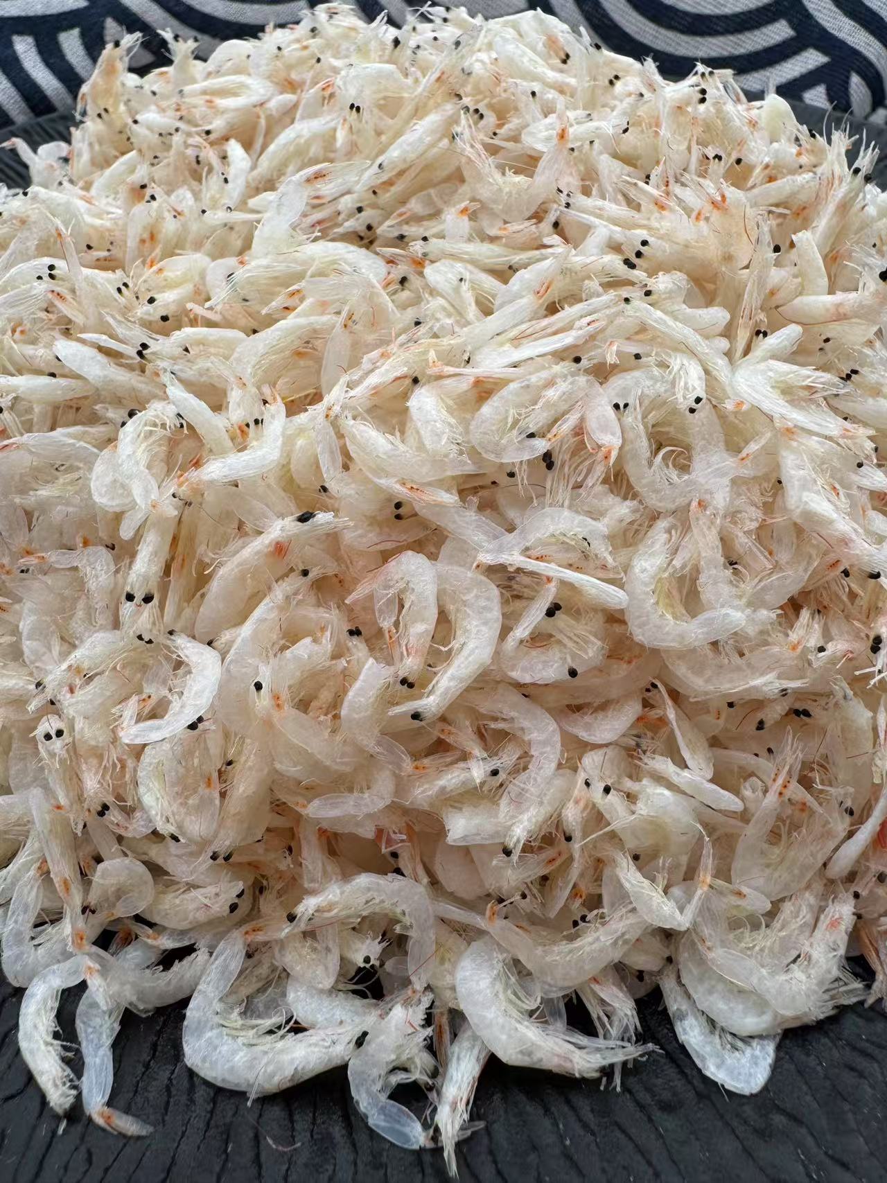 山东荣成当季烘干小虾皮冷冻保存