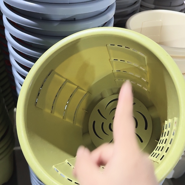 编号801果绿无托4个