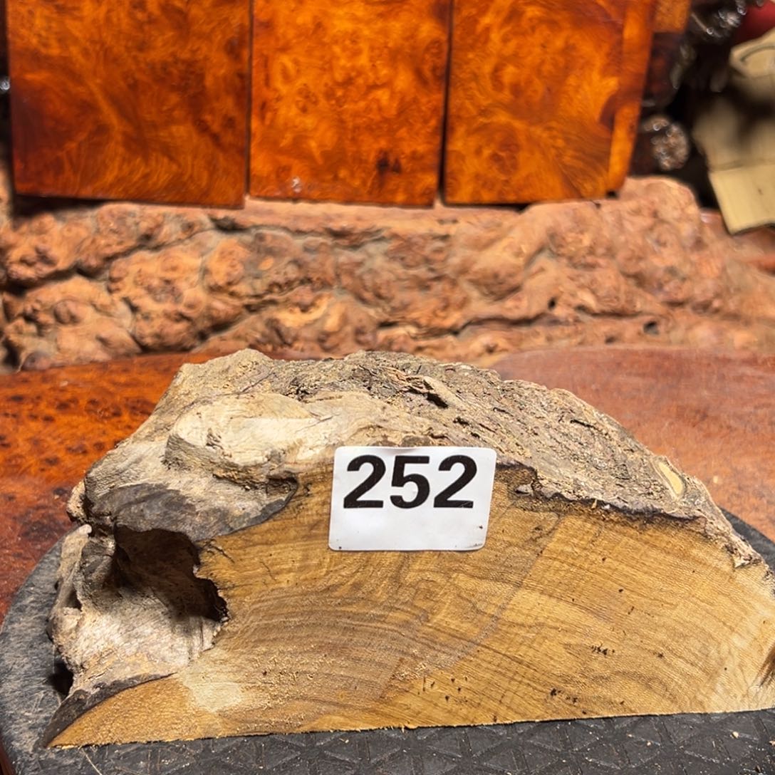 肇***术大果紫檀（缅甸花梨）