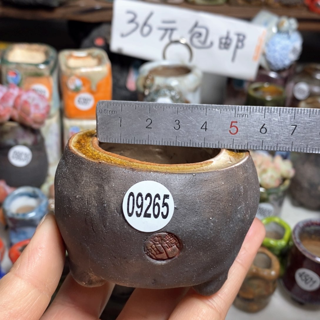 特价花盆处理，不退不换，原28元