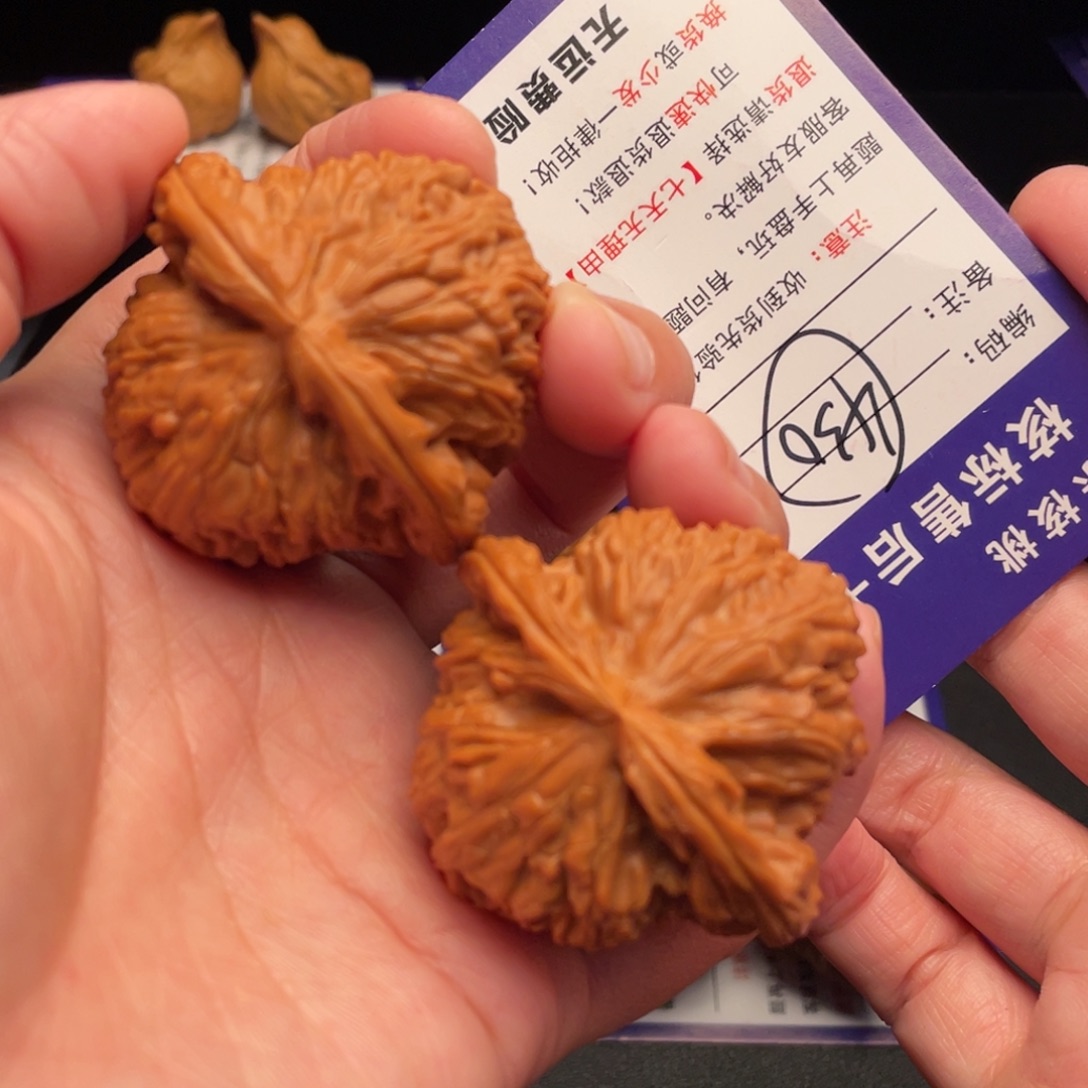 文玩核桃把件白狮子44