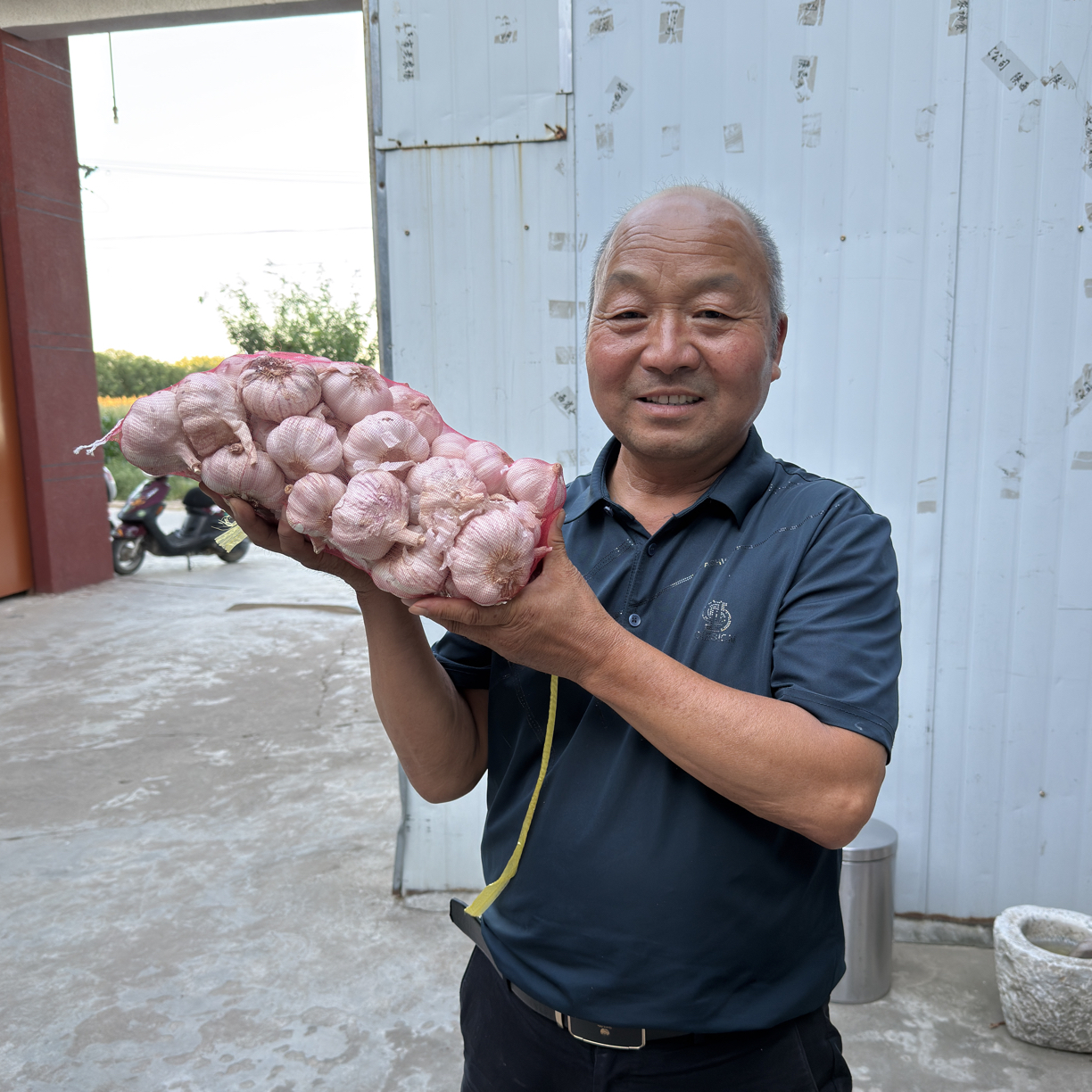 农家改良蒜，红蒜